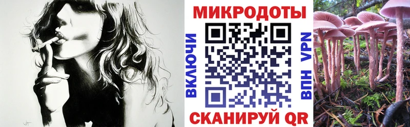 наркота  Петров Вал  Псилоцибиновые грибы Psilocybine cubensis 